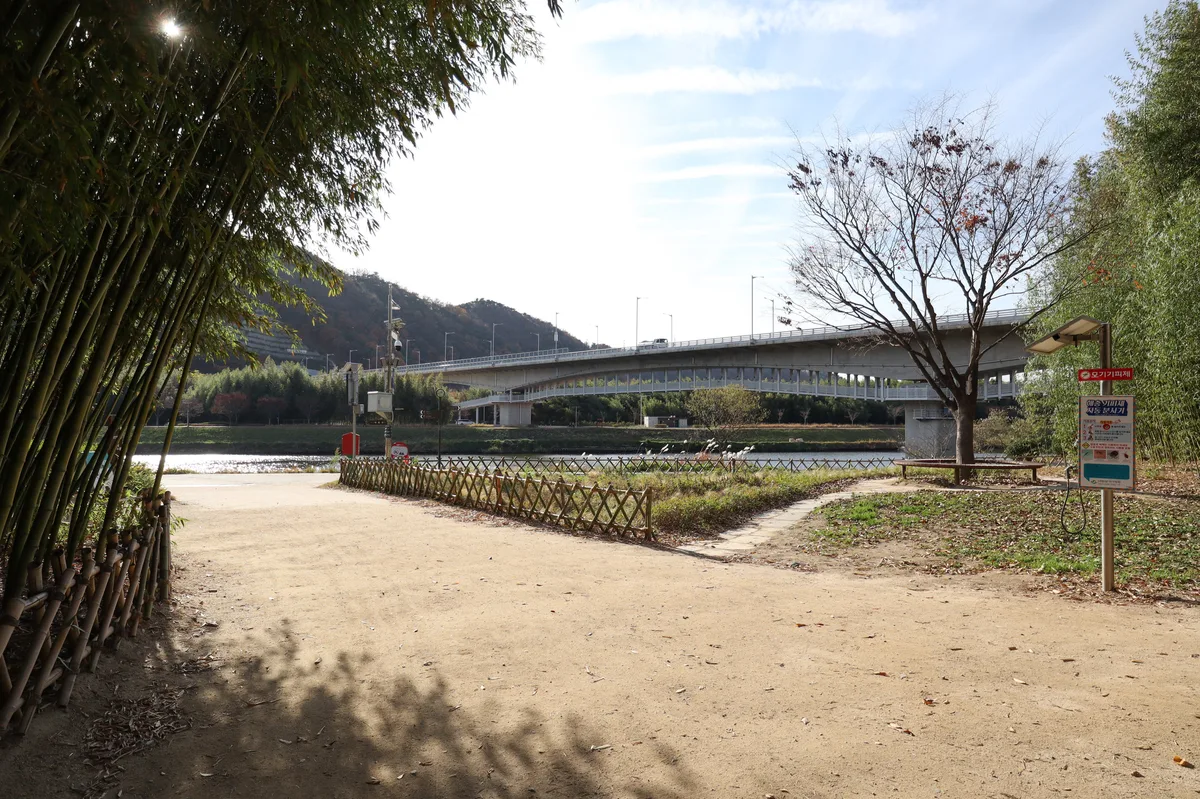 Taehwagang National Garden Bamboo Grove